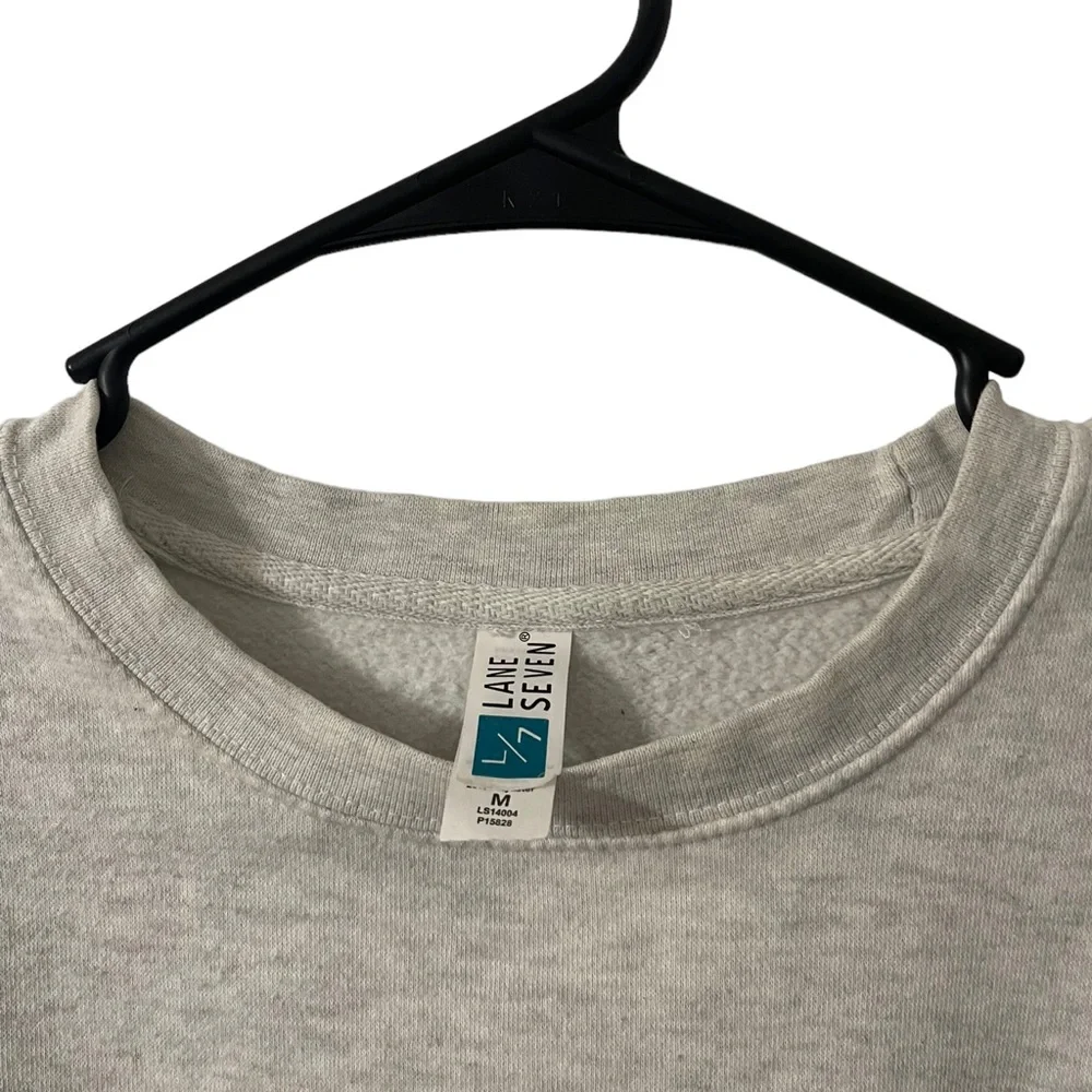 Avatar Crewneck Pullover Sweatshirt Grey Size Medium - Picture 5 of 5